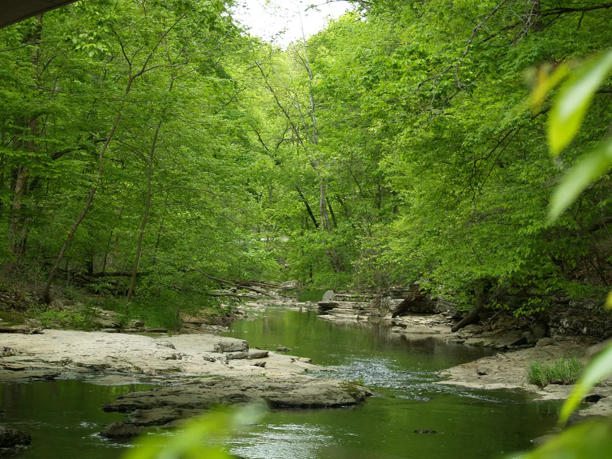 The Best Campgrounds Within 2 Hours of Indianapolis